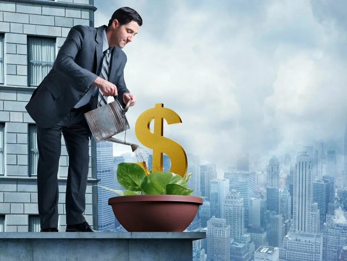 Где искать самый высокий возврат денег